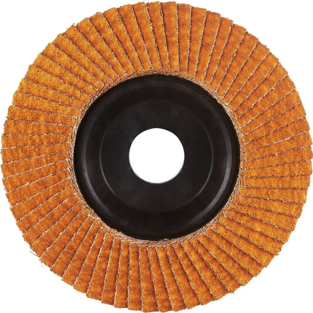 Rhodius 211411 Lamellenschijf RVS - 125mm - 10 Stuks