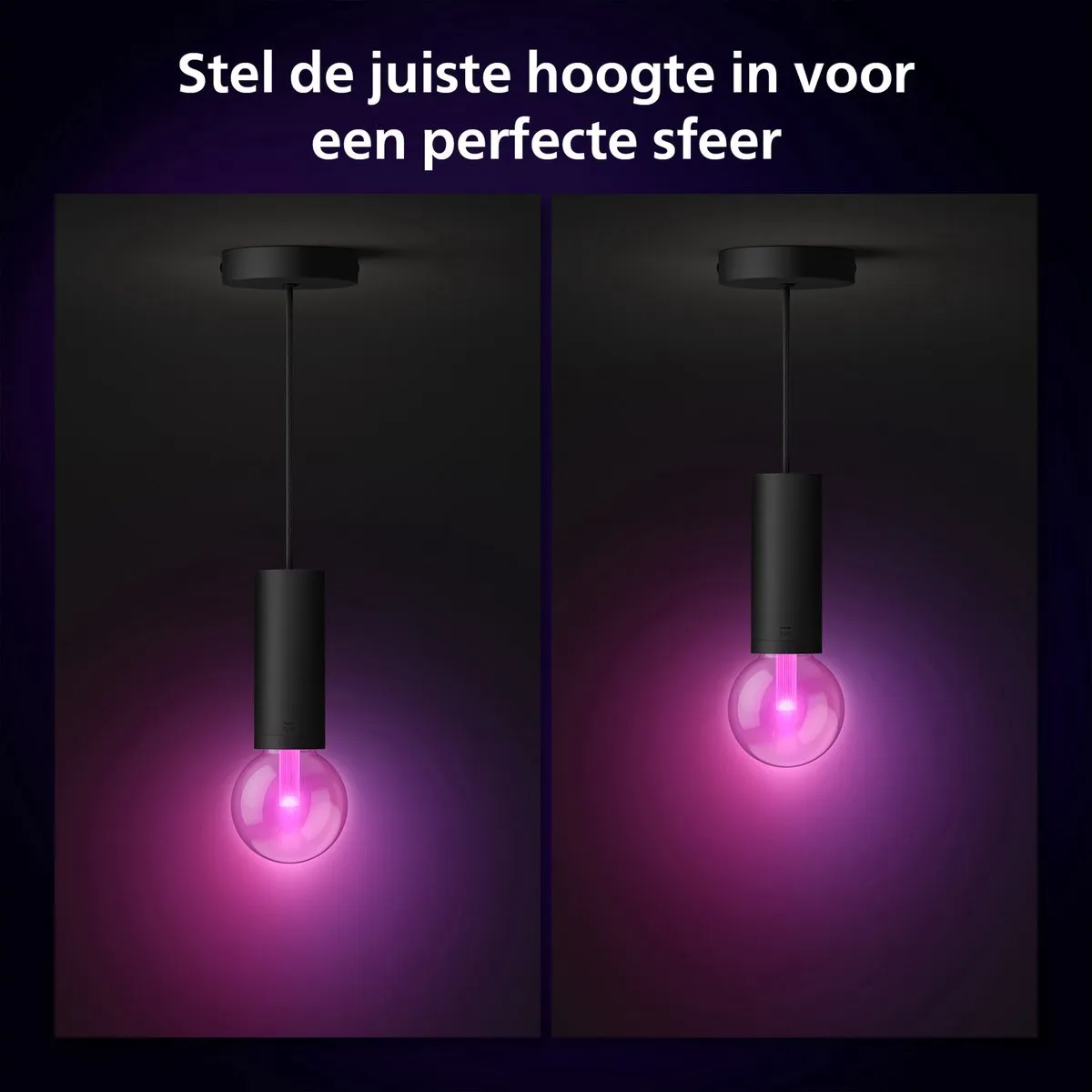 Philips Hue Lightguide Hanglamp Zwart - E27 RGBW