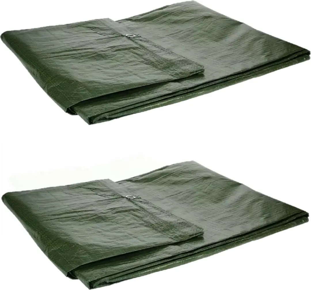 Talen Tools Afdekzeil 200x300cm Groen