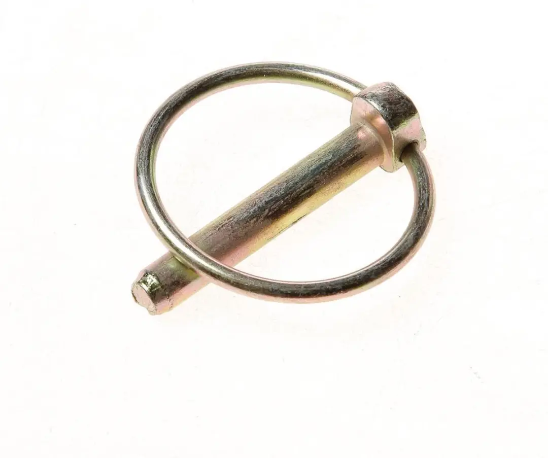Dulimex Borgpen Verzinkt 8mm