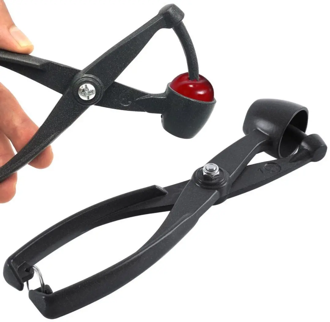 Orion Kersen- en Olijvenontpitter 18cm
