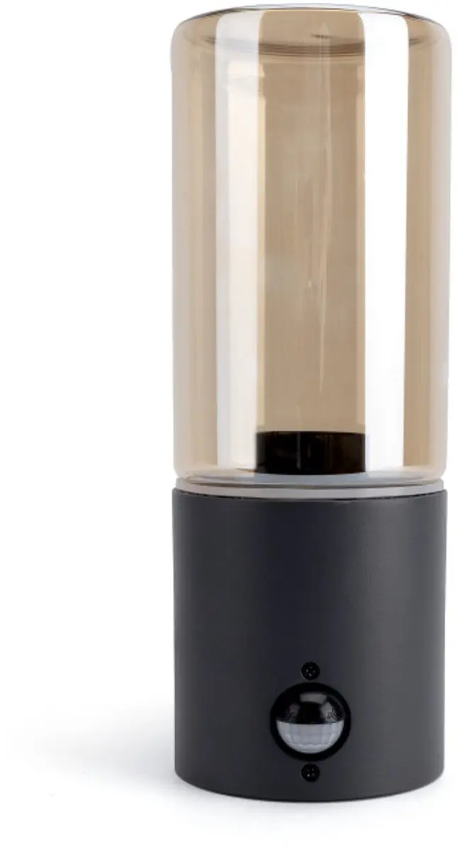 Integral Winchester Wandlamp Donkergrijs IP54 - Sensor E27 Max 20W