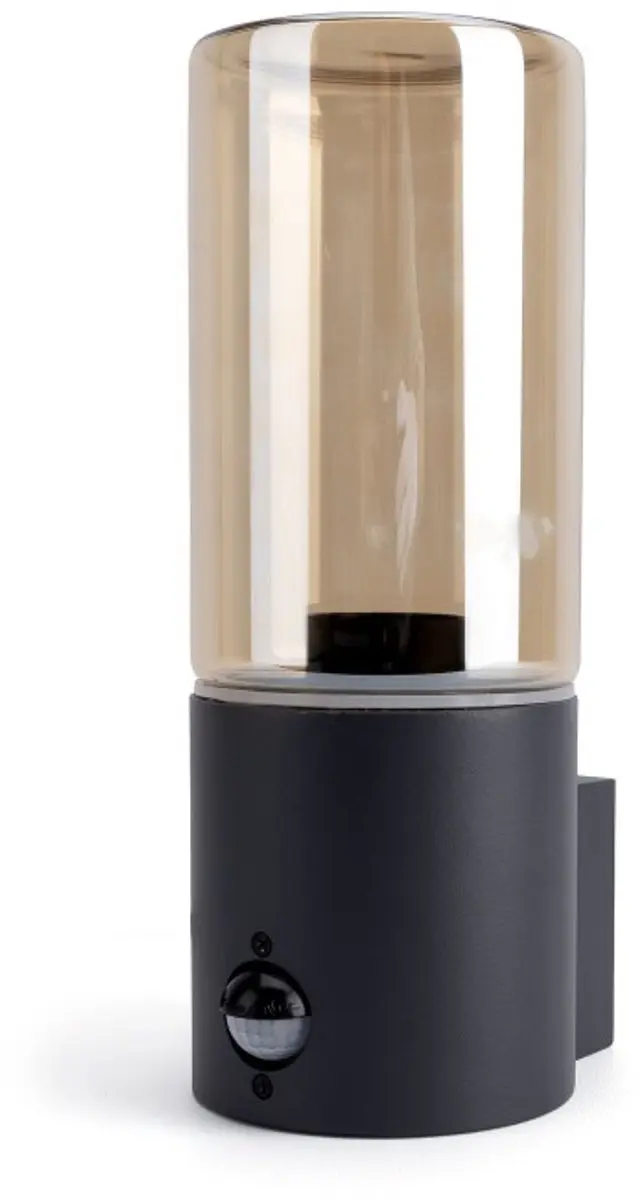 Integral Winchester Wandlamp Donkergrijs IP54 - Sensor E27 Max 20W