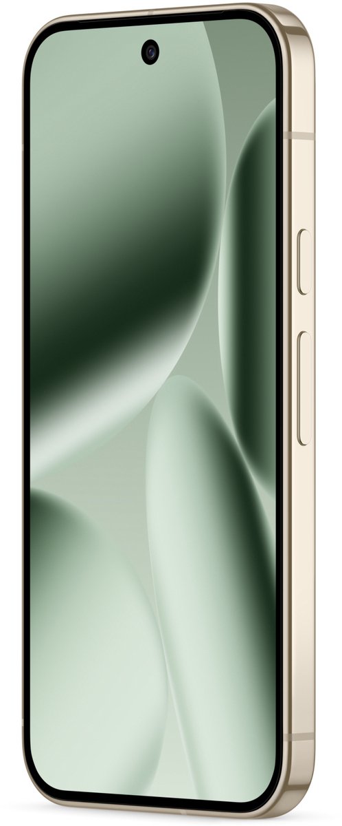 Google Pixel 10 Pro 5G 16GB/256GB Groen (Jade) Dual SIM