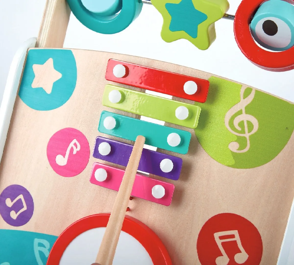 Hape Mijn Eerste Muzikale Loopwagen