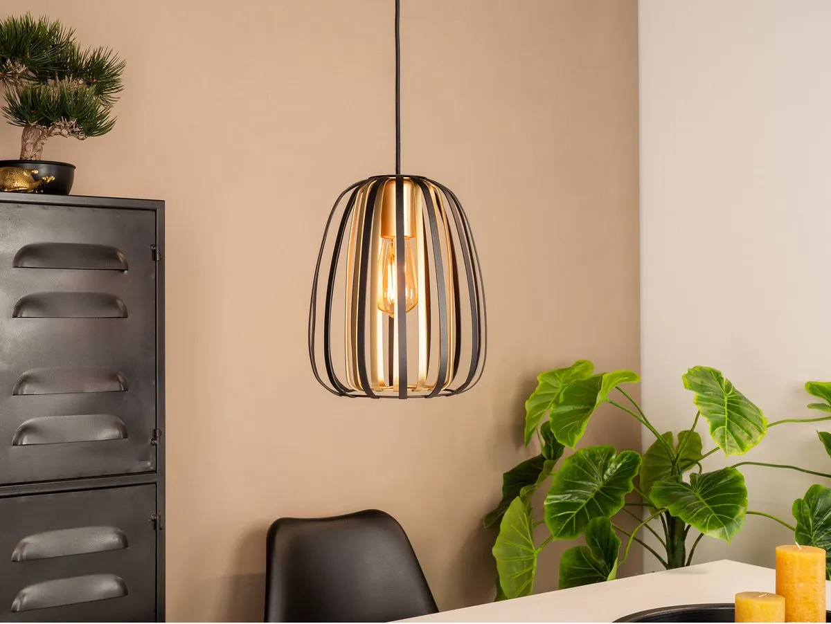 Eglo Encinitos Hanglamp E27 - Ø25,5cm - Zwart/Goud