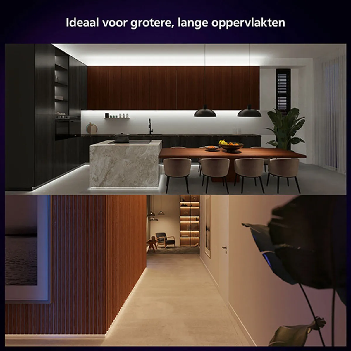 Philips Hue Solo Lightstrip 5m - RGBW met Dimmer Switch
