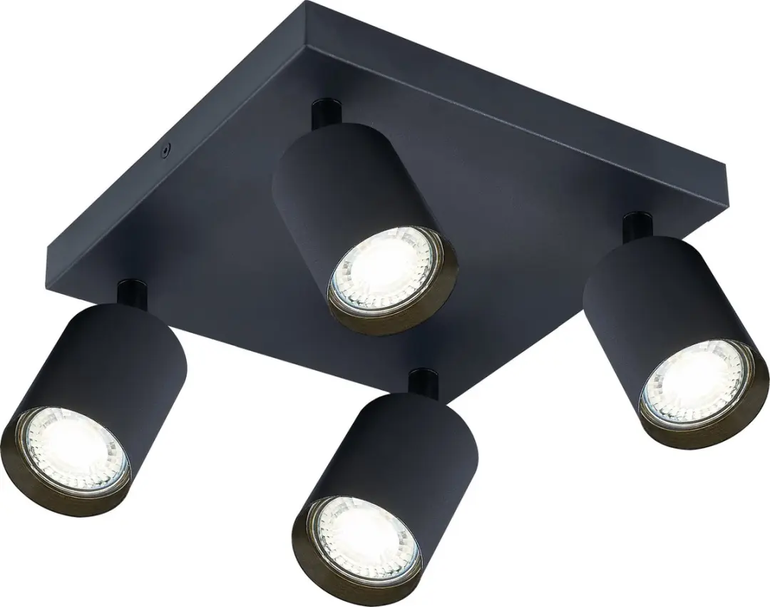 Integral Siena Plafondspot Mat Zwart