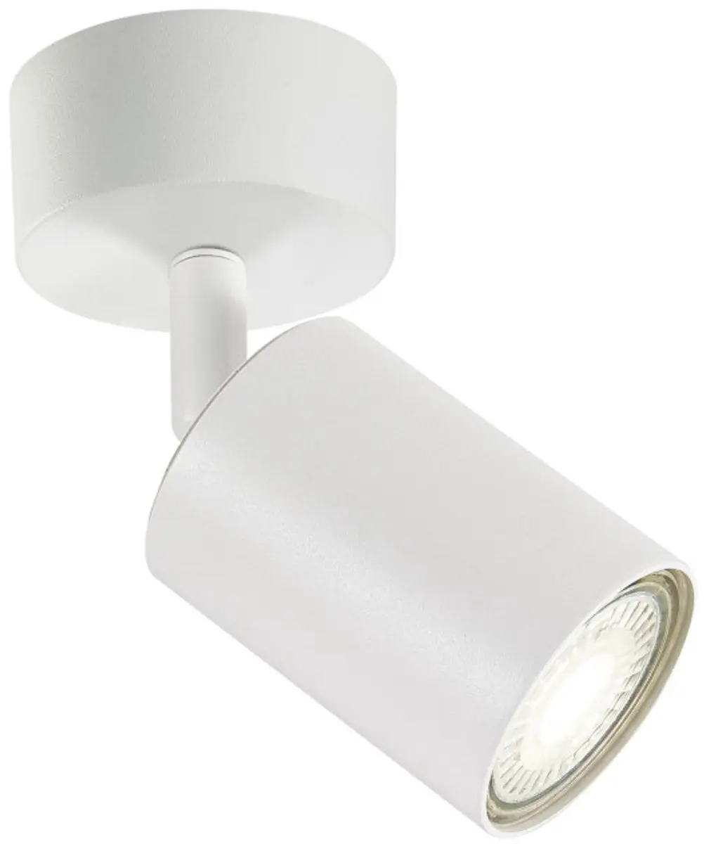 Integral Plafondspot Siena GU10