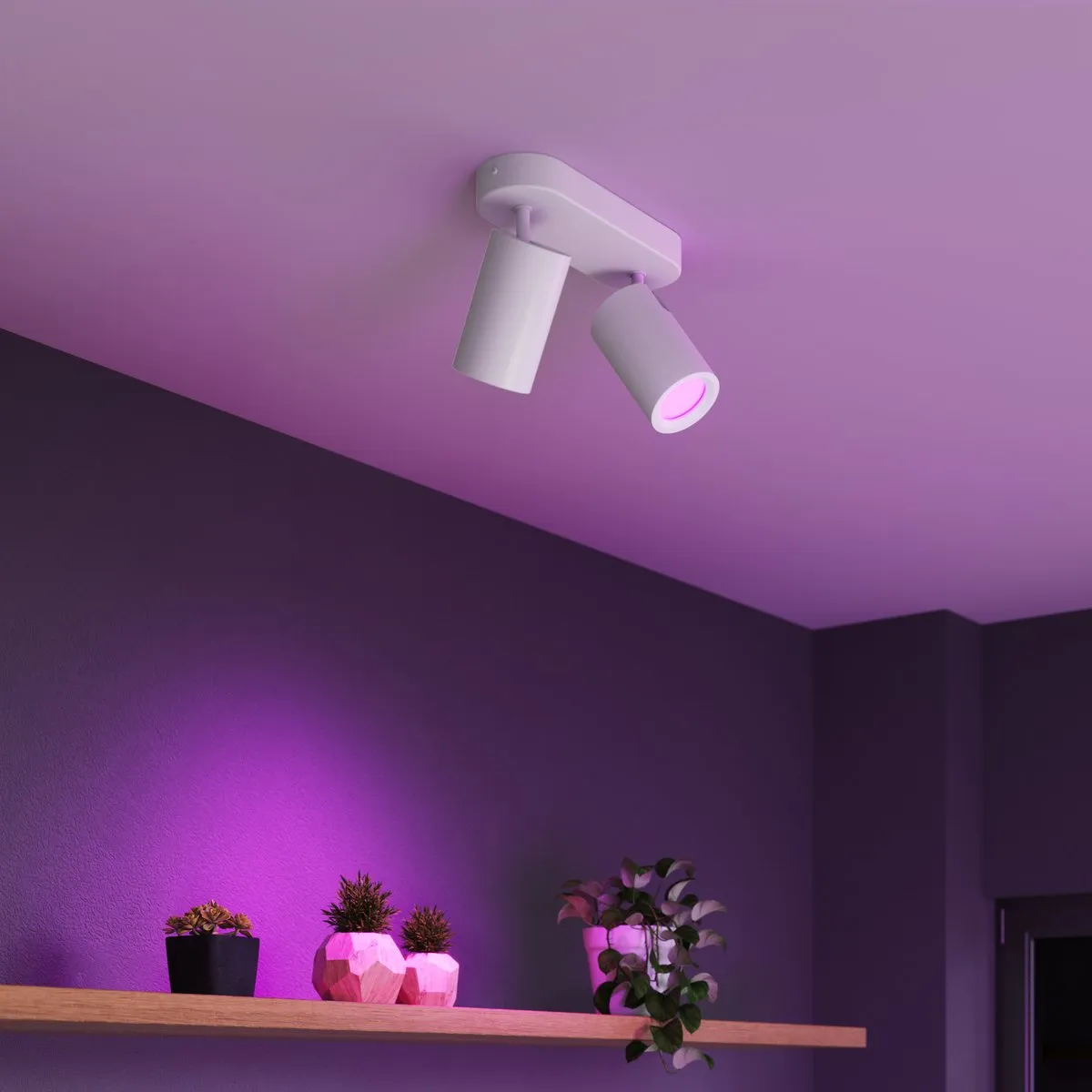 Calex Smart Plafondlamp 2-Lichts RGBW 2200K - Wit
