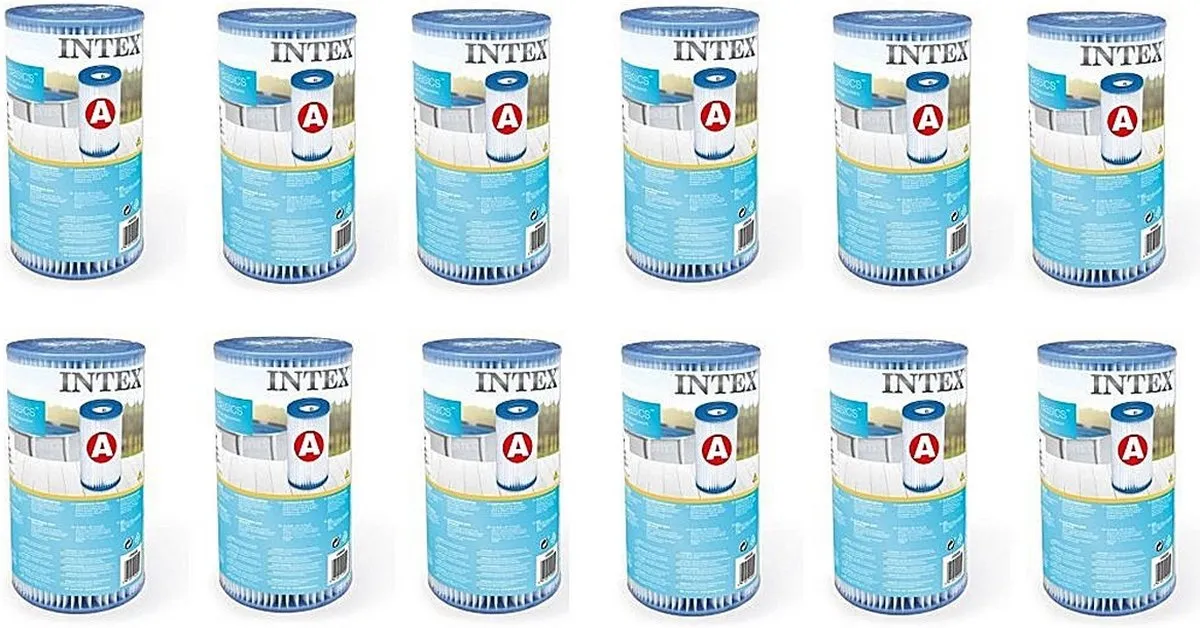 Intex 29000 Filterpatroon Type A