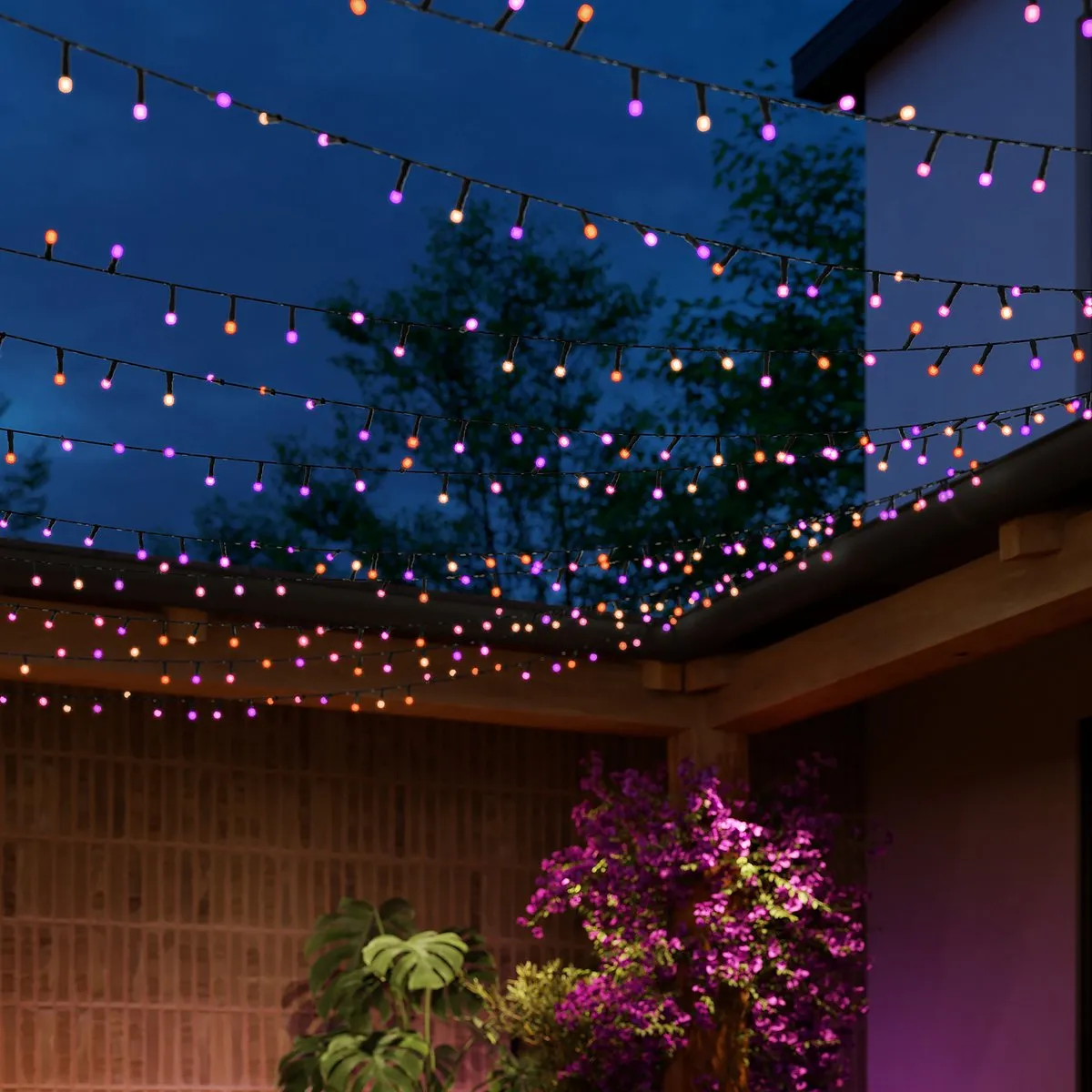 Philips Hue Festavia Lichtslinger 250 LED - 20m - Wit & Kleur - Incl. Dimmer Switch
