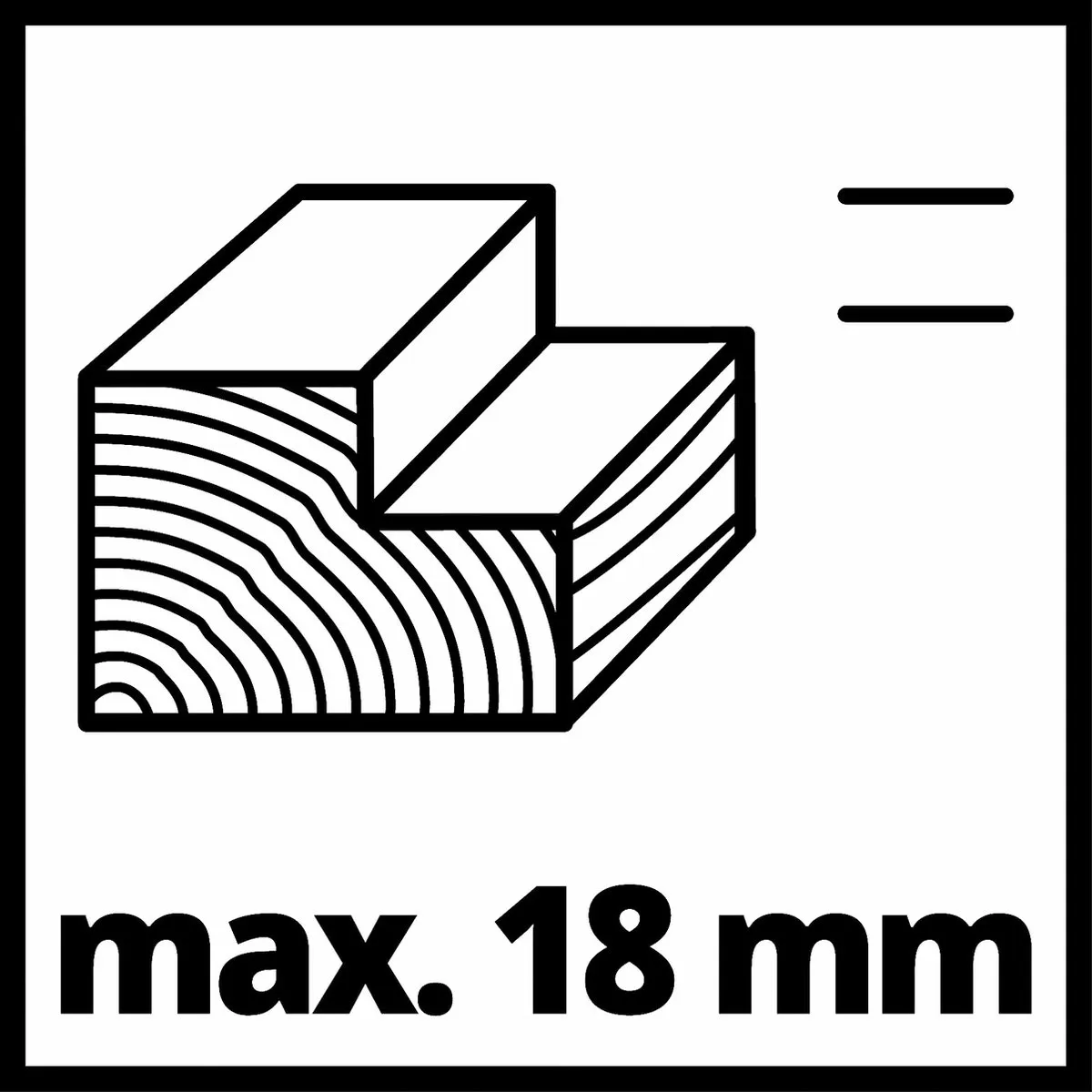 Einhell TE-PL 920 Elektrische Schaafmachine 920W