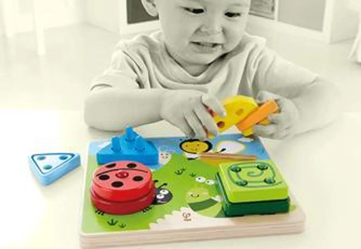 Hape Build-a-Bug Vormensorteerder Multicolor