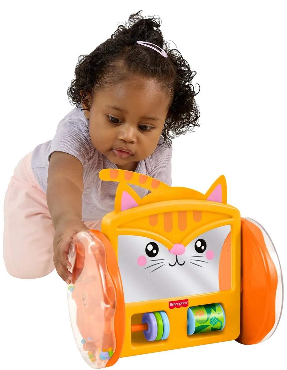 Fisher-Price FP Pets Rollende Kittenspiegel JLF98 - Meerkleurig