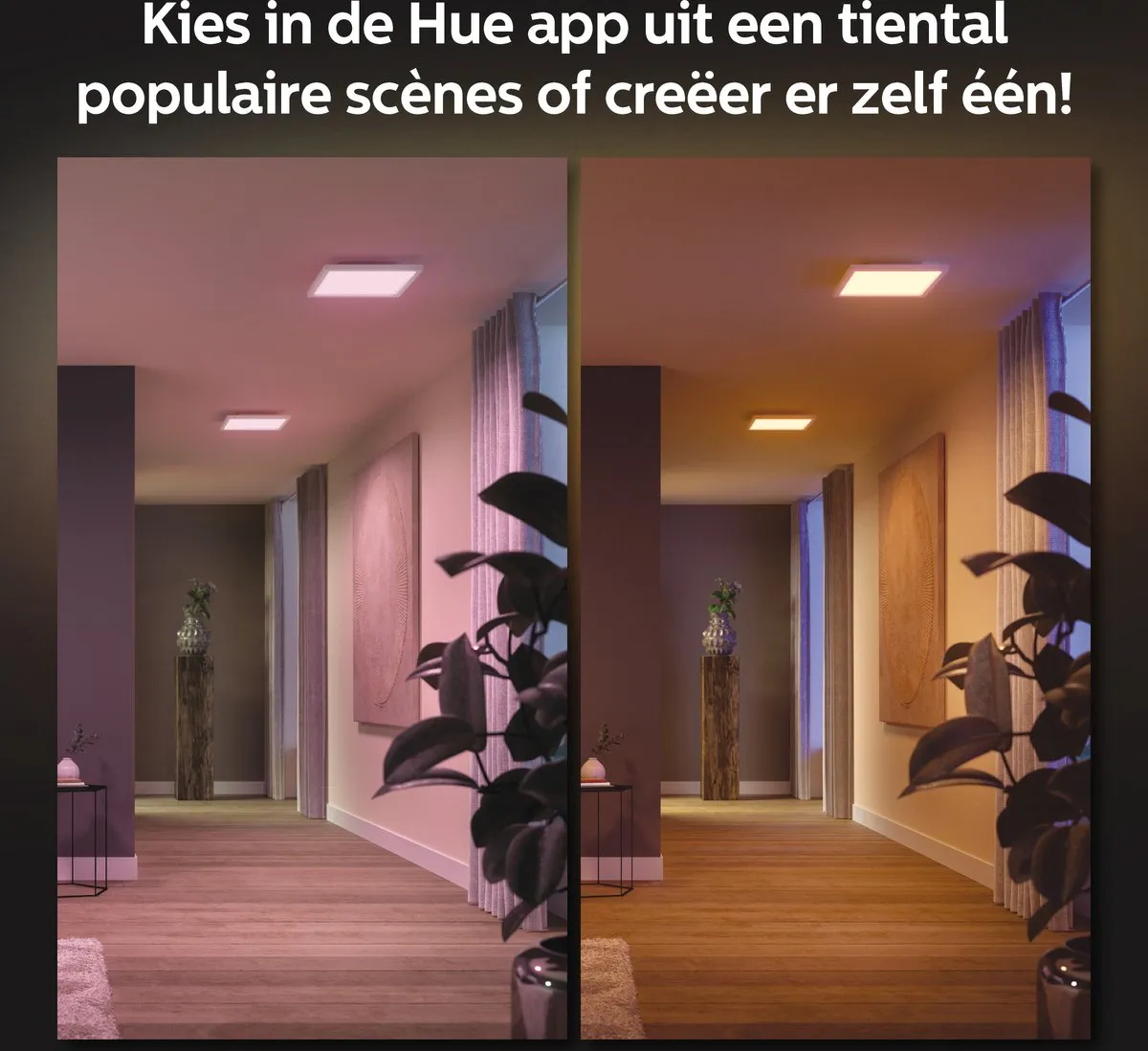 Philips Hue Surimu Paneellamp - Wit/RGB - 30cm