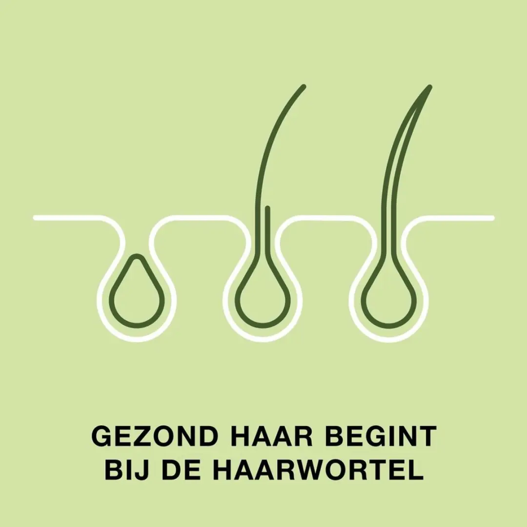 Priorin Haar Voordeelverpakking 240 capsules
