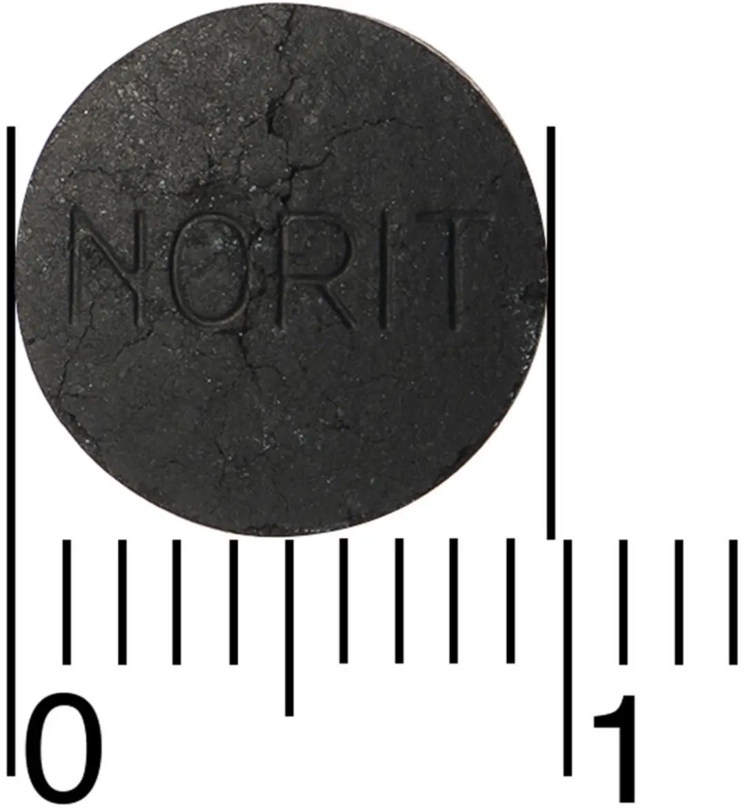 Norit Diarreeremmer 125mg - 2 x 180 Stuks