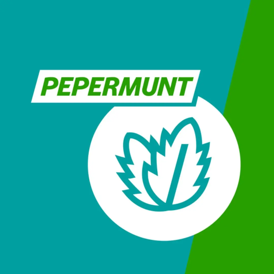 Gaviscon Pepermunt Kauwtabletten 250mg - 48 Stuks
