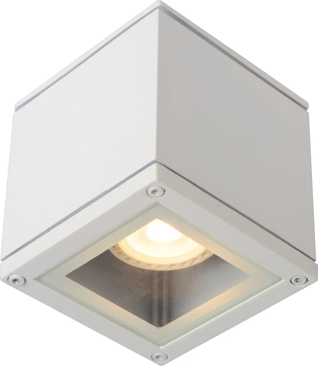 Lucide AVEN Plafondspot GU10 IP65