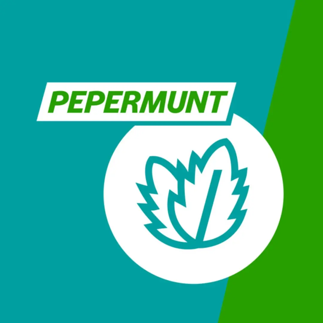 Gaviscon Kauwtabletten Pepermunt - 96 Stuks