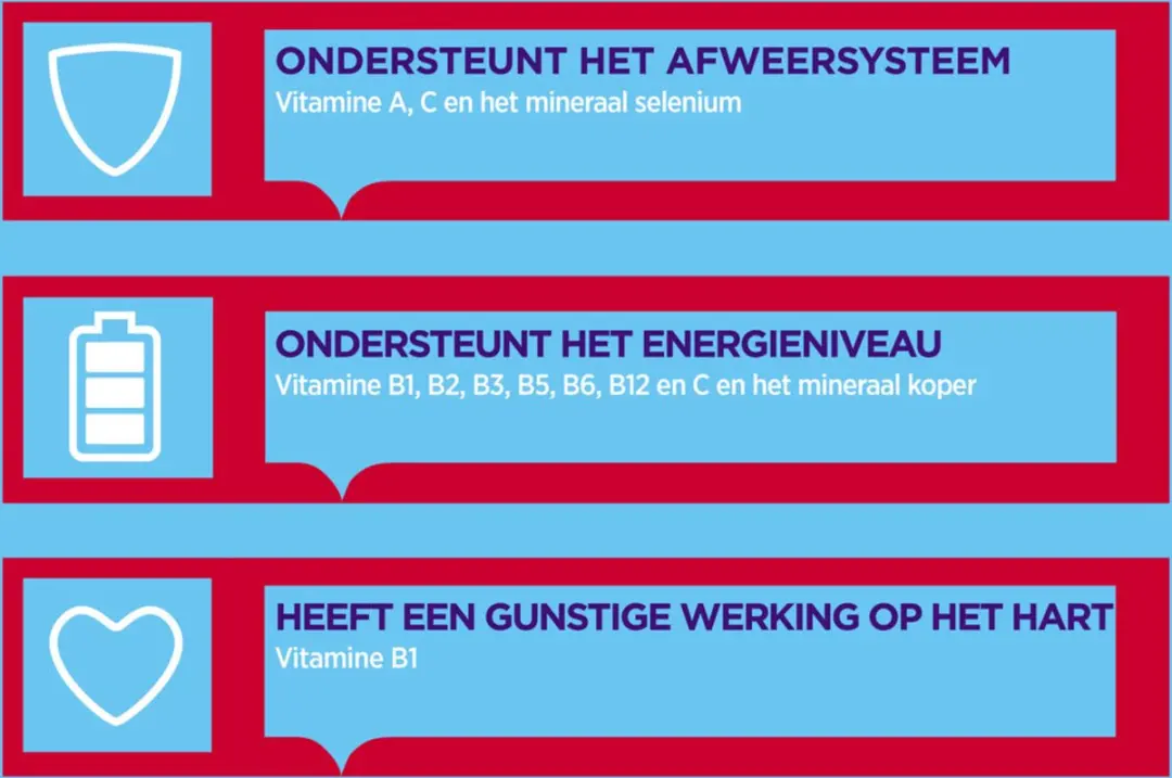 Dagravit Totaal 30 Voordeelverpakking - 600g