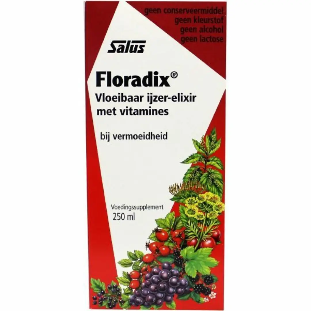 Floradix Vloeibaar IJzer-Elixer met Vitamines 2x250ml