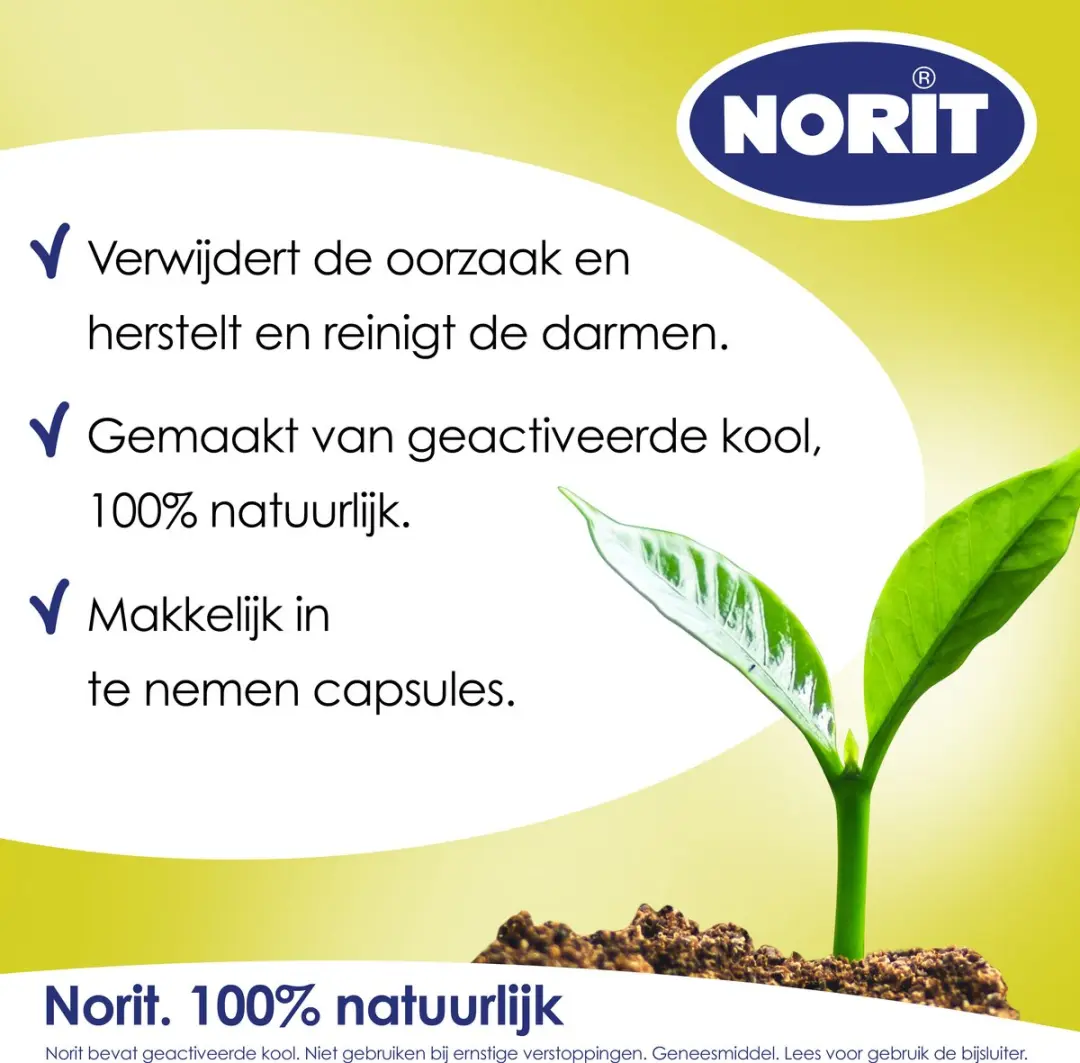 Norit Diarreeremmer 200mg - 30 capsules