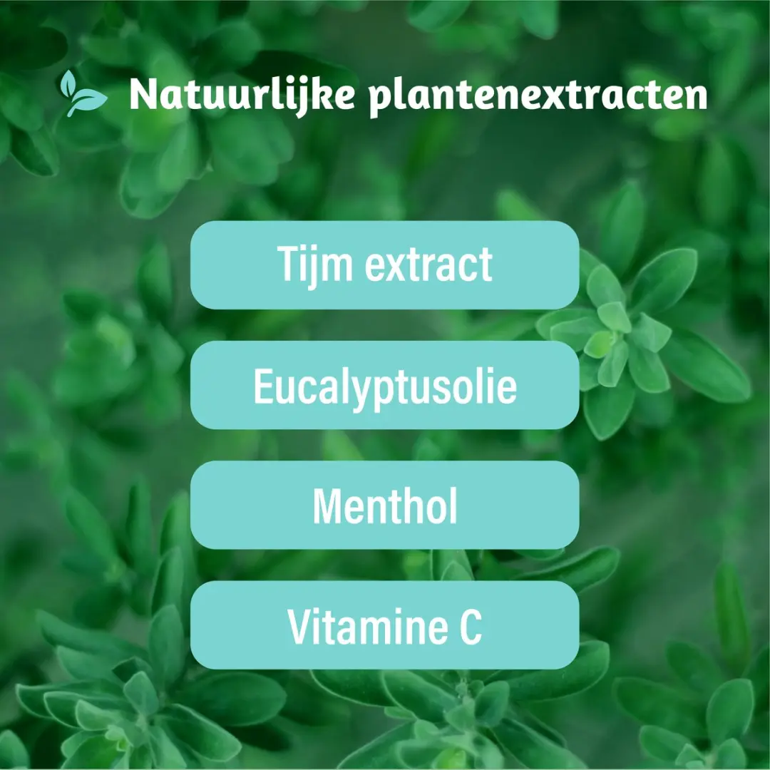 Dampo Luchtwegen Pastilles Suikervrij - 24 Stuks