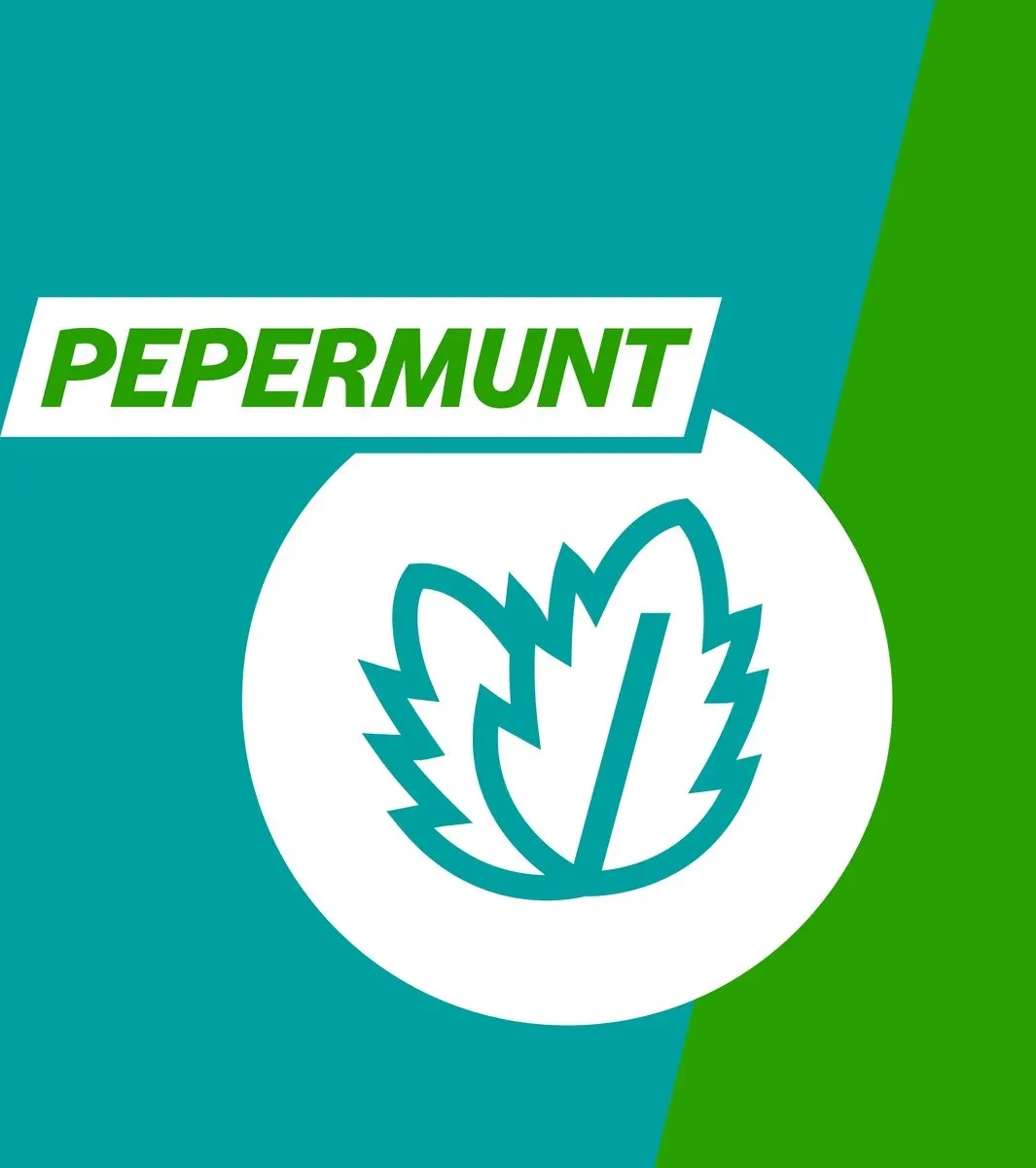 Gaviscon Pepermunt Kauwtabletten 250mg - 16 Stuks