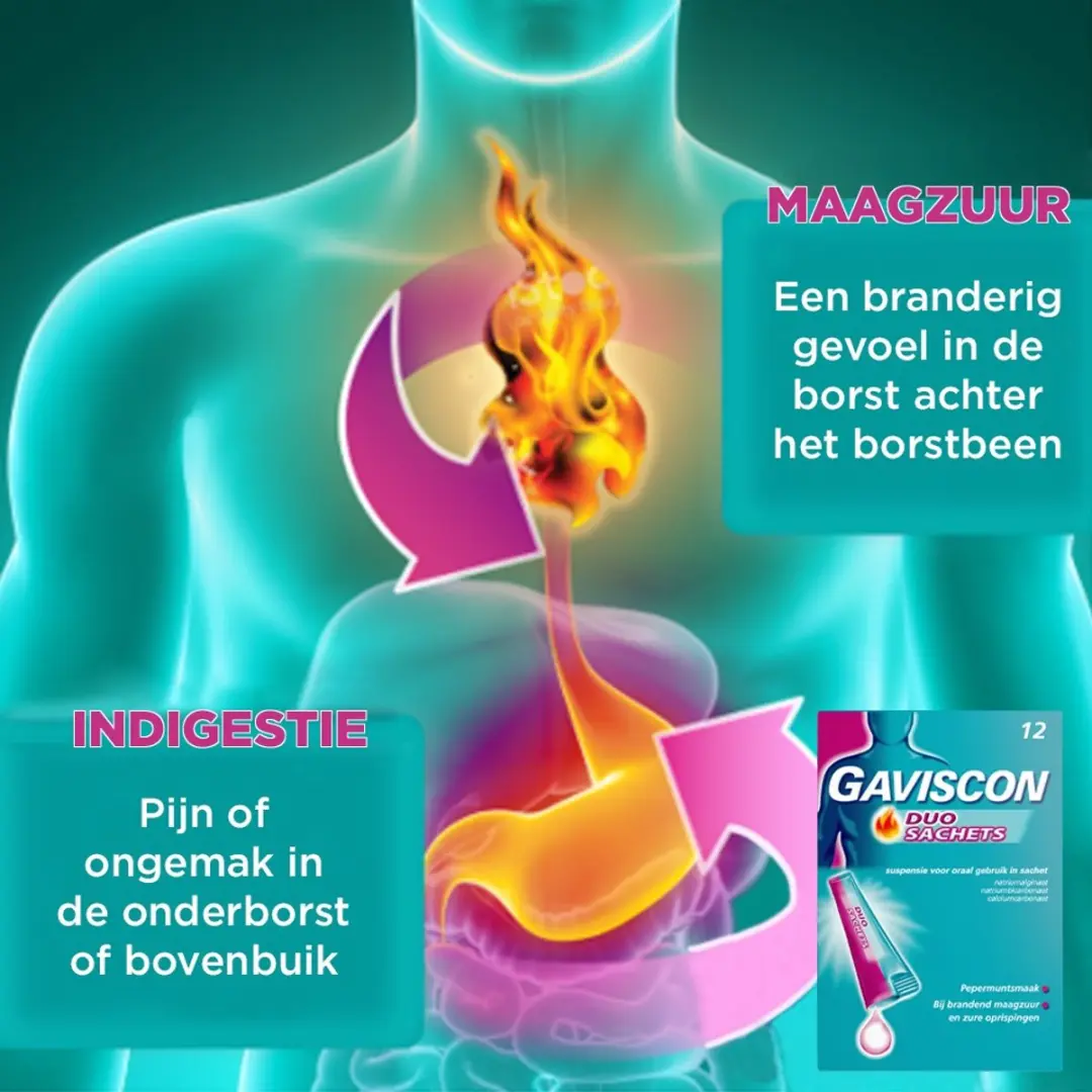 Gaviscon Duo Sachets 12x150g