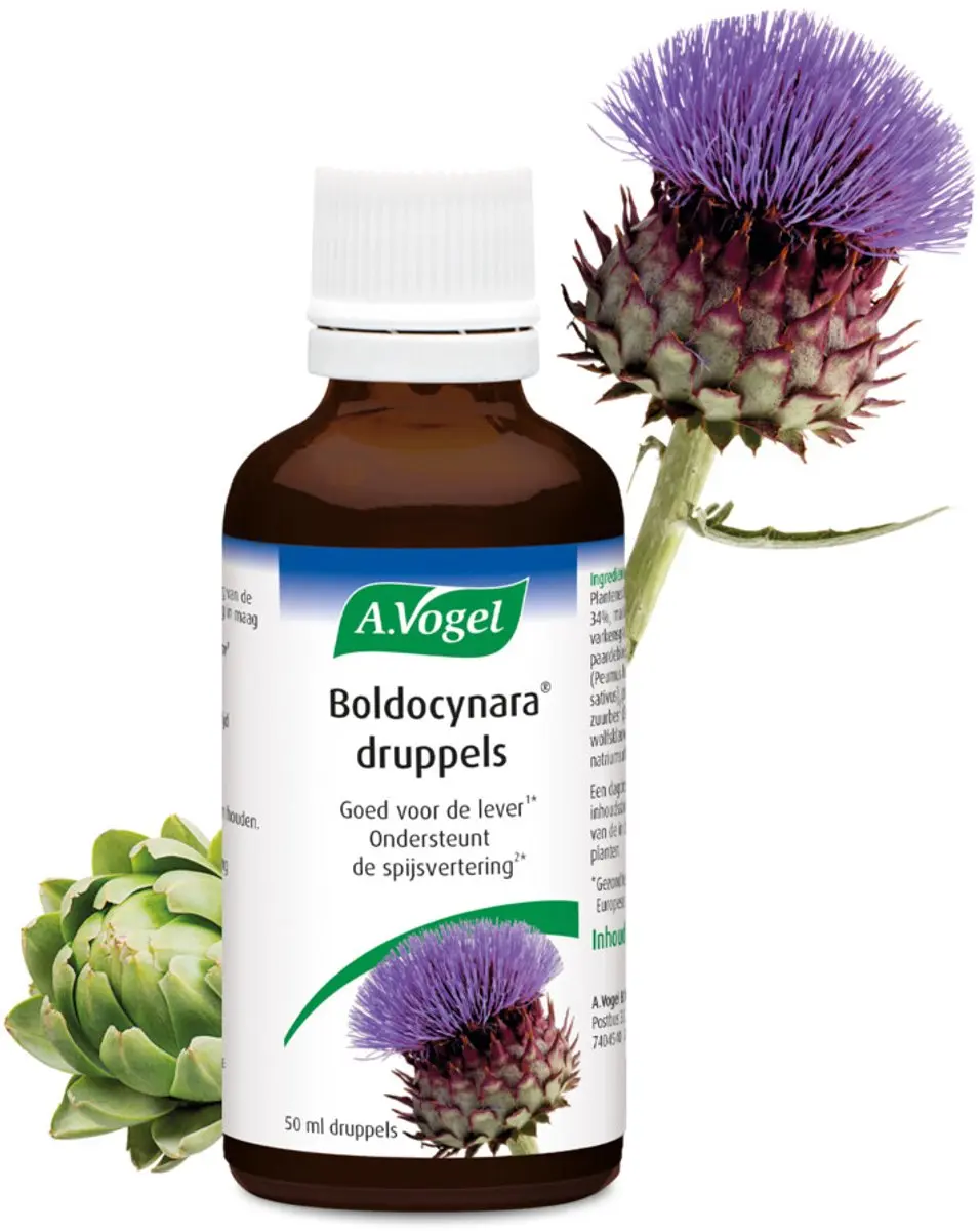 A.Vogel Boldocynara Druppels 2x50ml