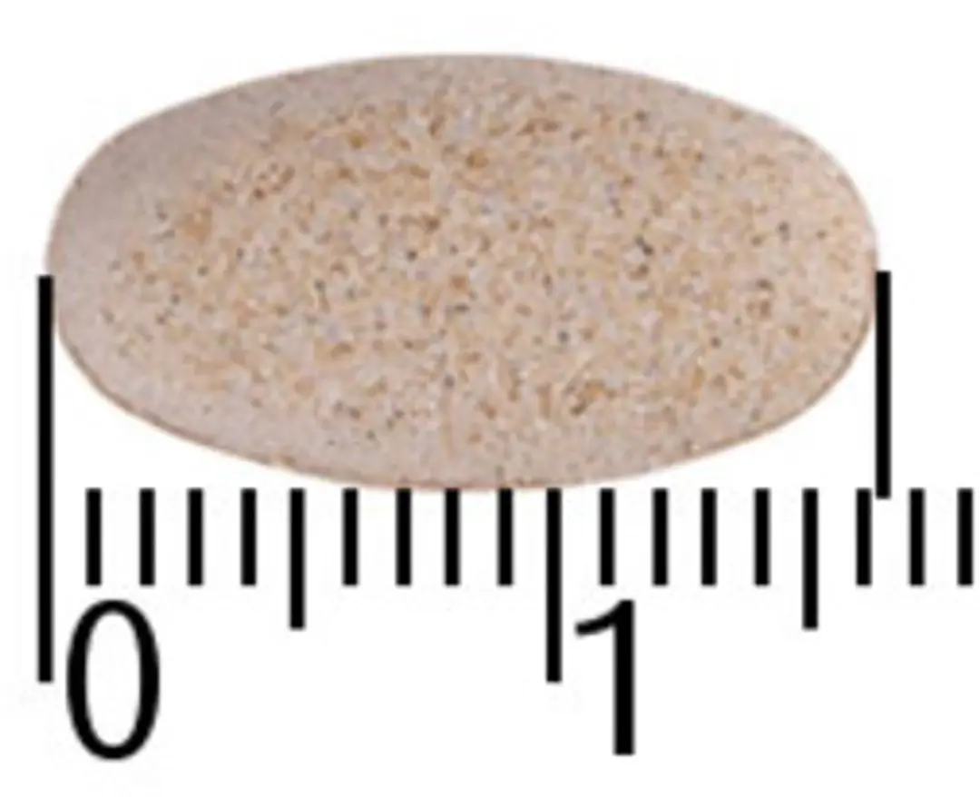A.Vogel Alchemilla Gewrichten Tabletten 60 Stuks