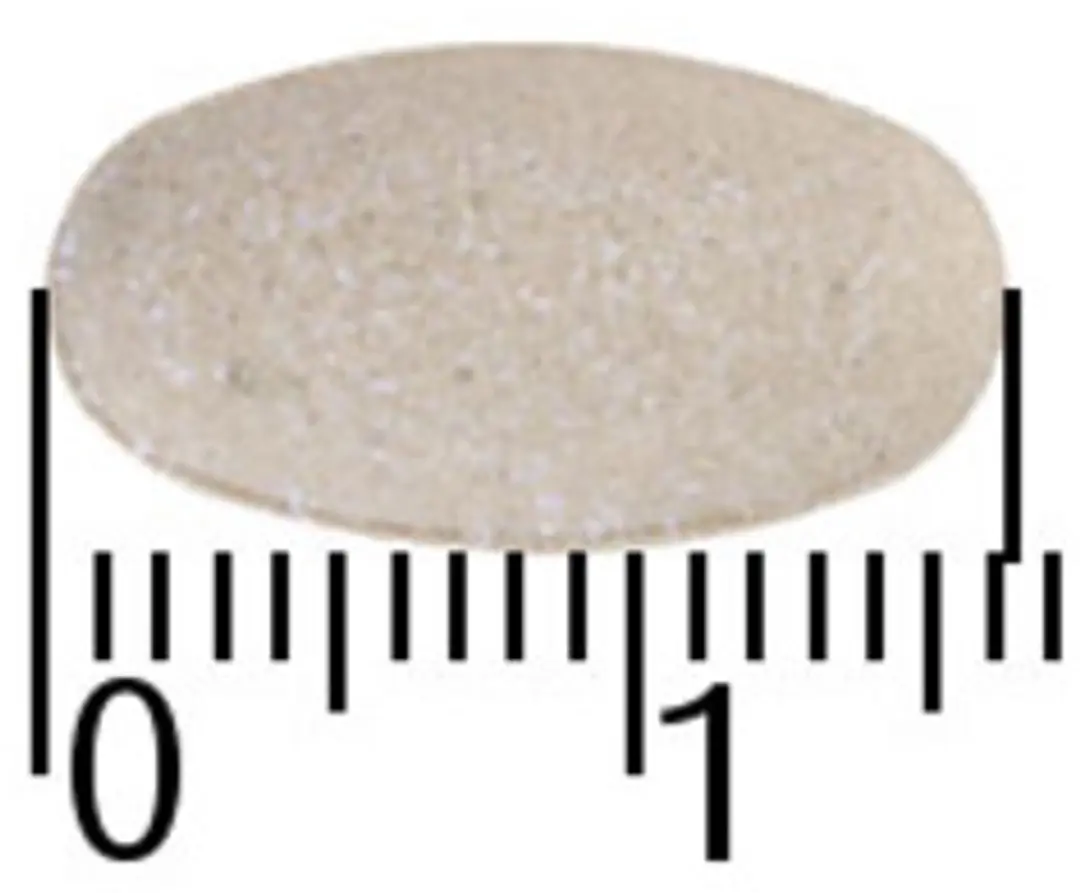 A.Vogel Famosan Overgang Gewichtsbeheersing Tabletten - 60 Stuks