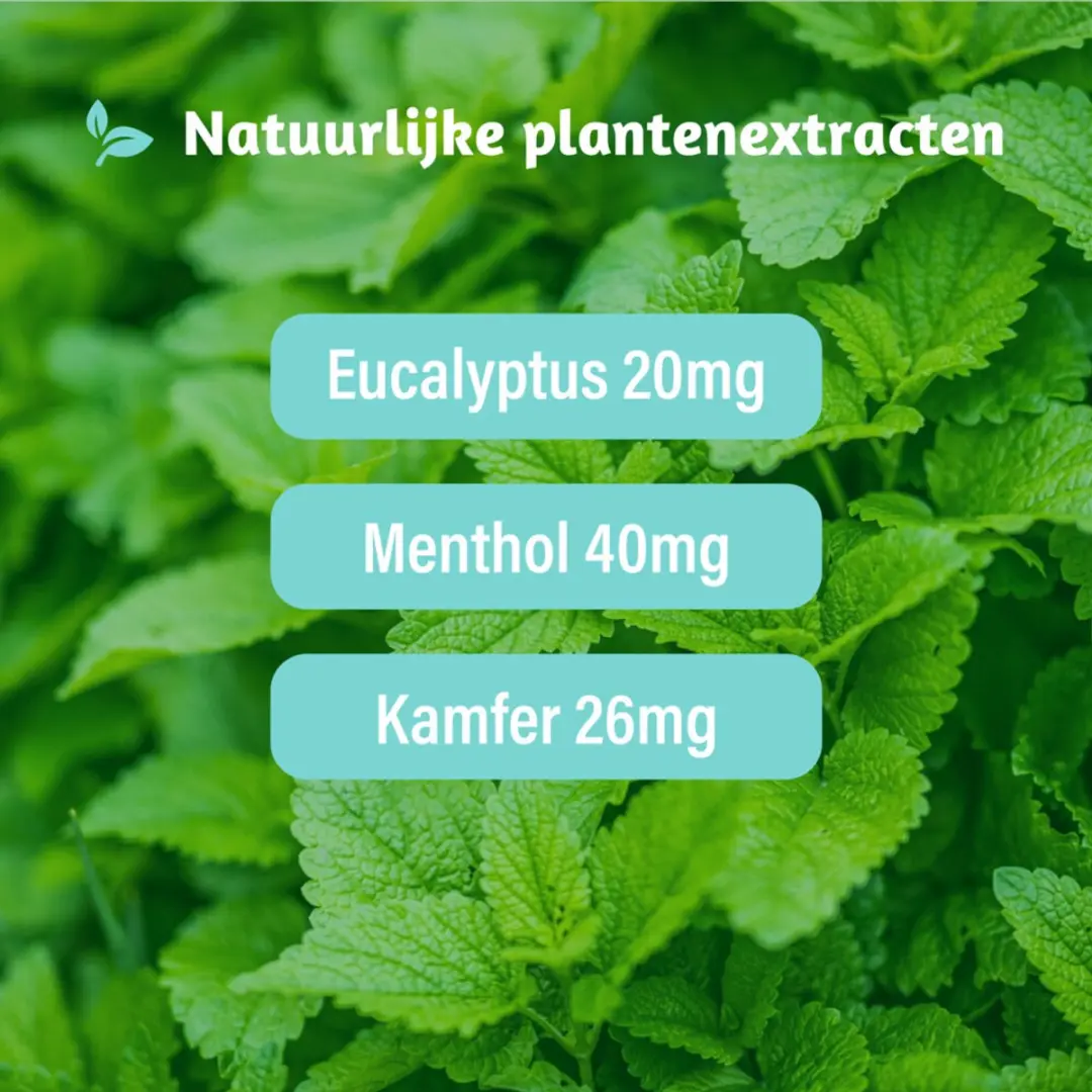 Dampo Verkoudheidsbalsem Strepsils Sinaasappel & Vitamine C - 2x30ml