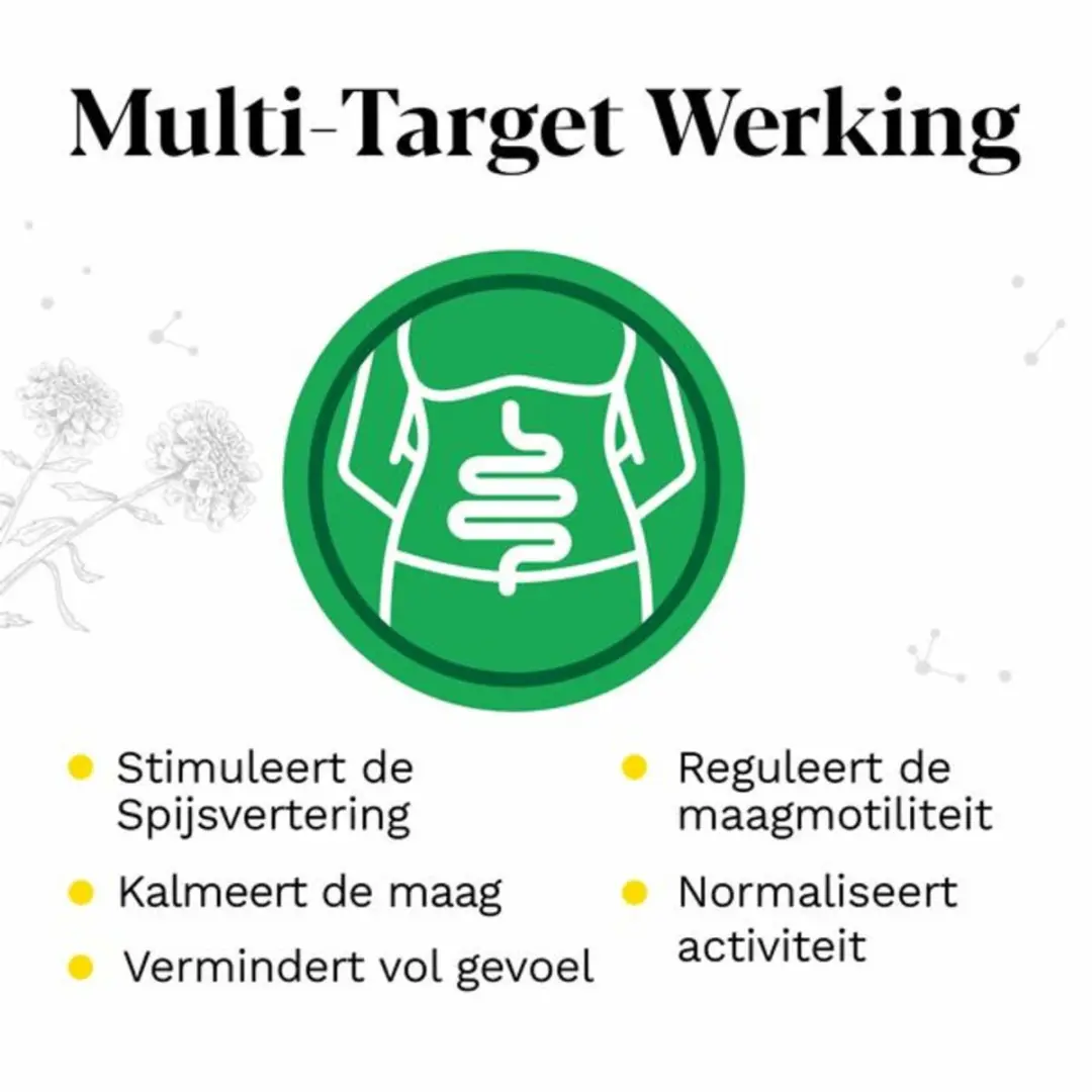 Iberogast Druppels 50ml
