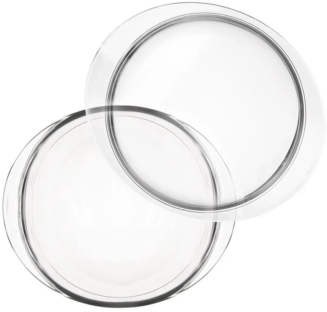 Orion Ovenschaal Borosilicaatglas 2,2L - 27x23x11,5cm - Transparant