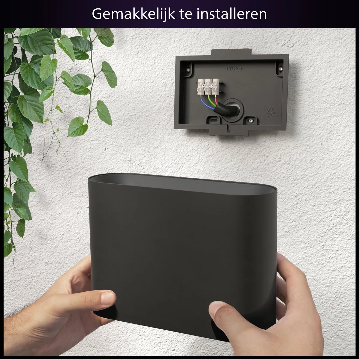 Philips Hue Dymera Muurlamp - Zwart - afbeelding 6 van 6