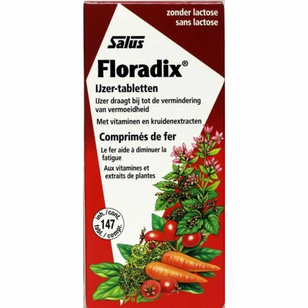 Floradix IJzer 441g