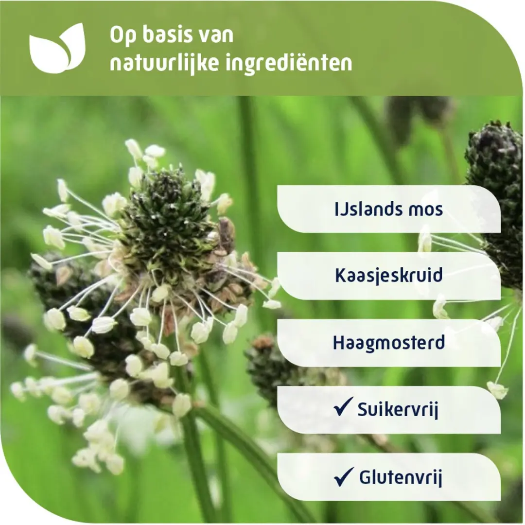 Natterman Direct Voor Alle Hoest Siroop Suikervrij 120ml