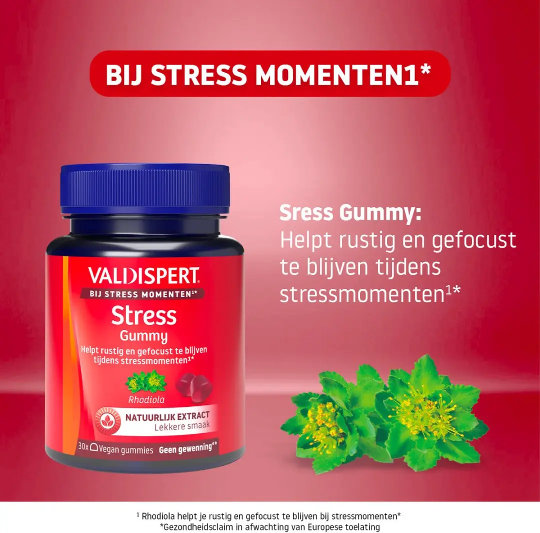 Valdispert Stress Gummies 30 Stuks - Rhodiola & Vitamine B11