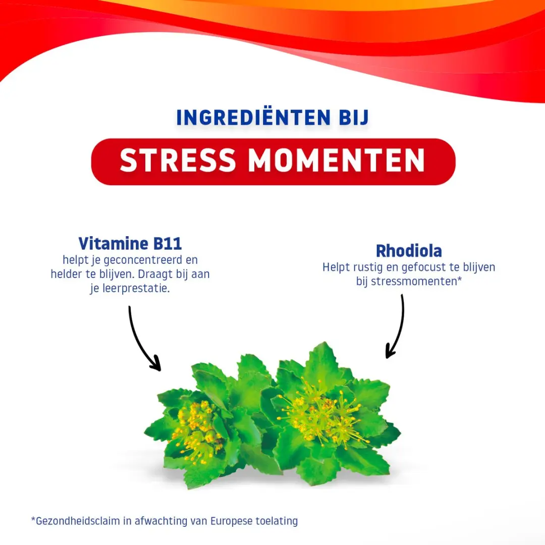Valdispert Stress Gummies 30 Stuks - Rhodiola & Vitamine B11
