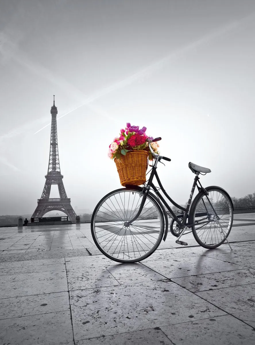 Clementoni Promenade Puzzel 500 Stuks - Multikleur