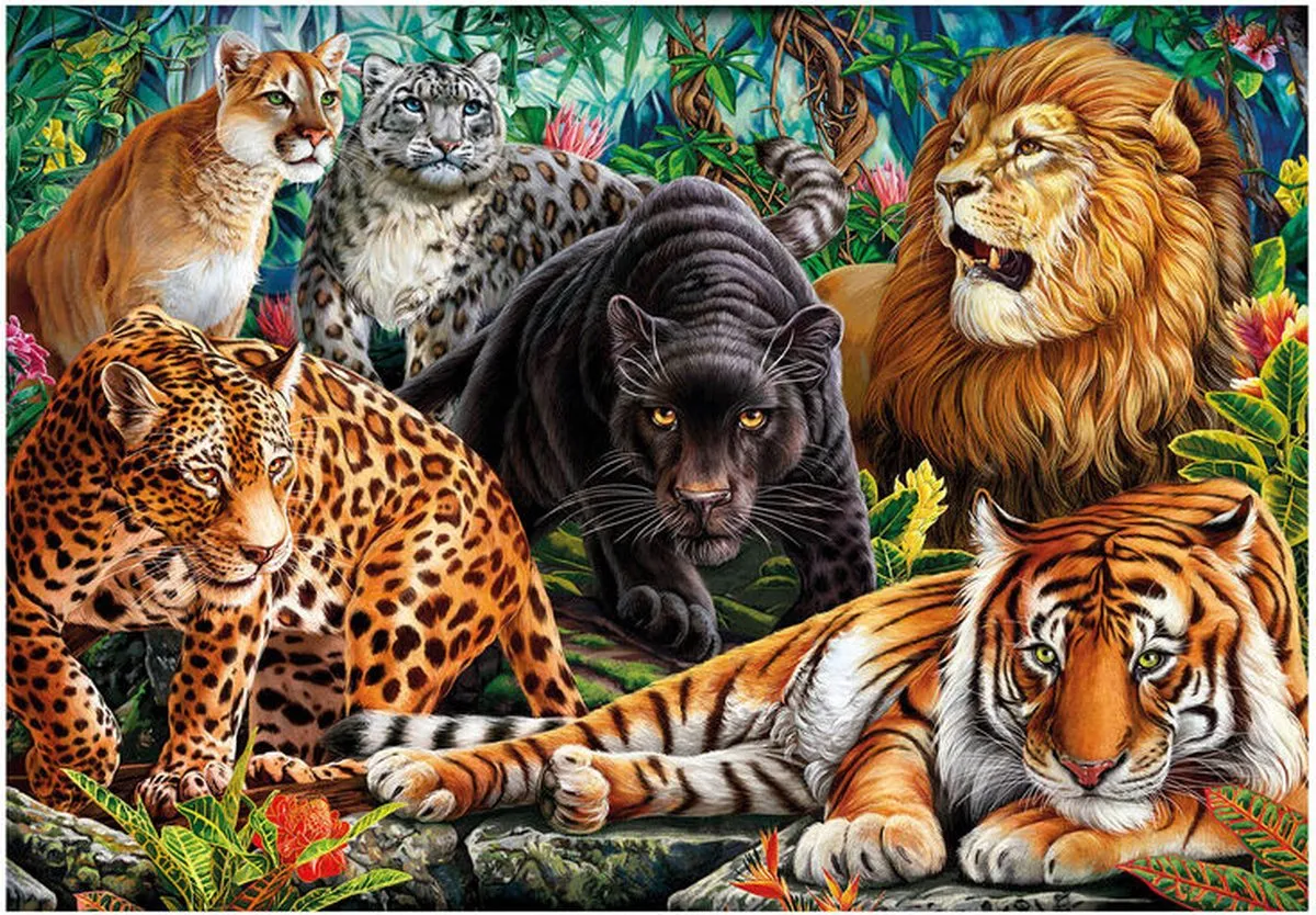Clementoni Wilde Katachtigen Puzzel 500 Stuks - Multikleur