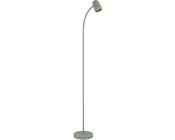 Eglo Carlo Vloerlamp E14