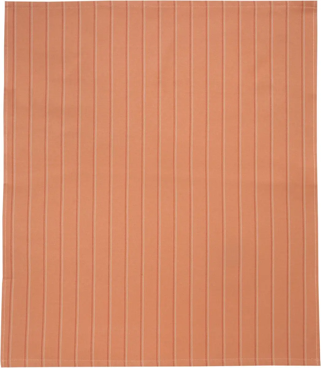 Ten Cate Keukenhanddoeken Set - Terra