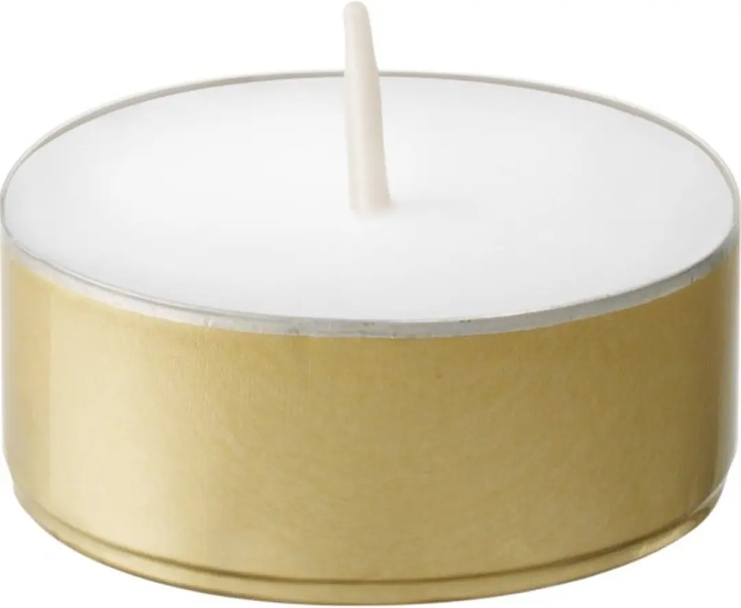 Bolsius Professional Waxinelichtjes 600 Stuks - Wit