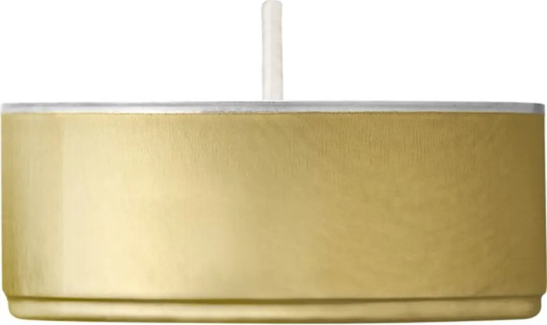 Bolsius Professional Waxinelichtjes 600 Stuks - Wit