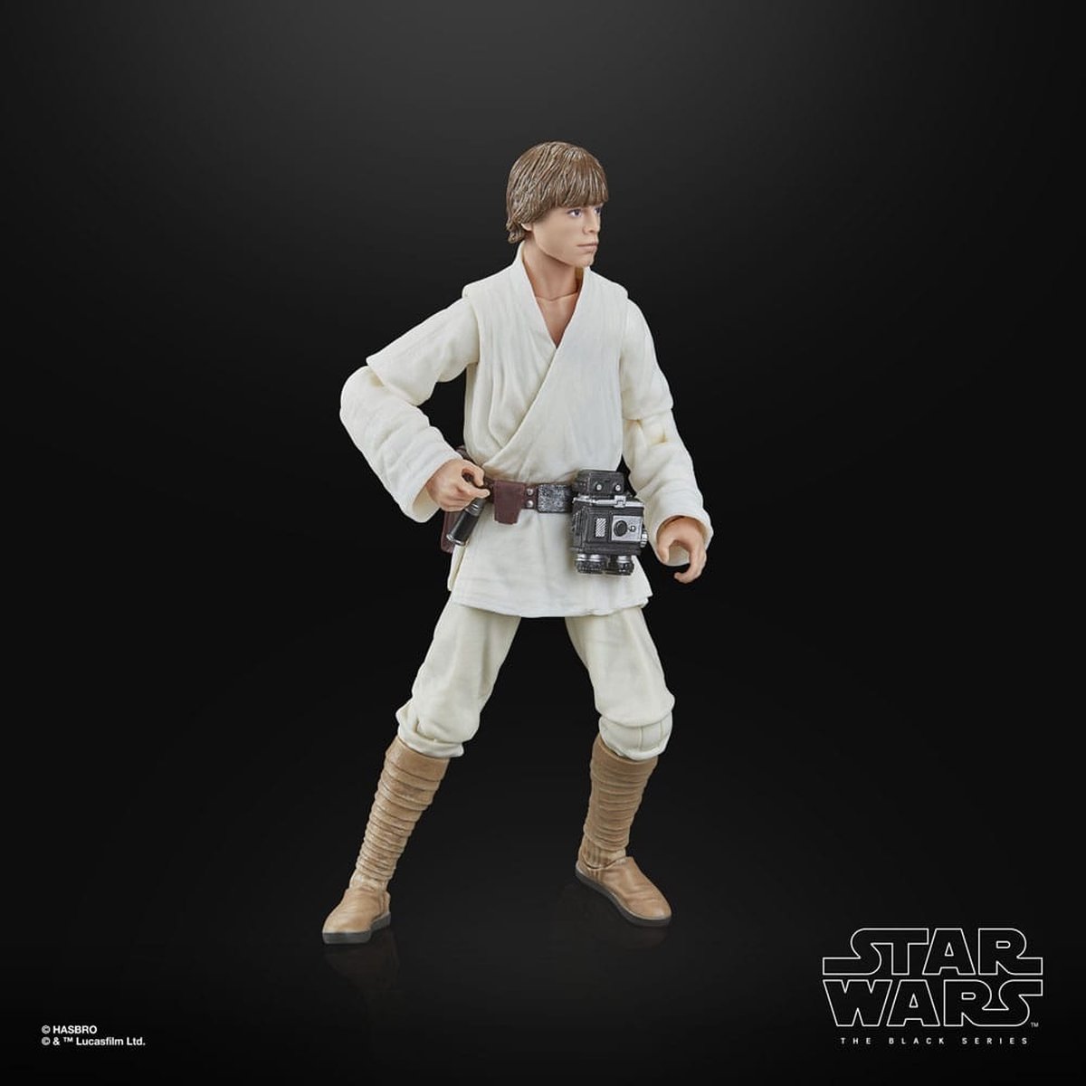 Hasbro Star Wars Episode IV Black Series Action Figure Luke Skywalker 15 cm Action Figuur