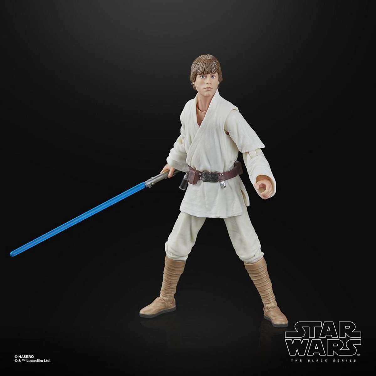 Hasbro Star Wars Episode IV Black Series Action Figure Luke Skywalker 15 cm Action Figuur